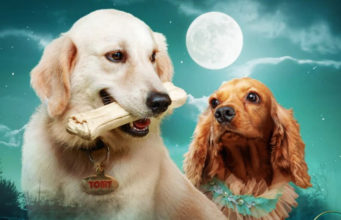 ‘Valatty: Tale of Tails’ ಟ್ರೈಲರ್ | ದೇವನ್ ನಿರ್ದೇಶನದ ಮಲಯಾಳಂ Pet ಸಿನಿಮಾ