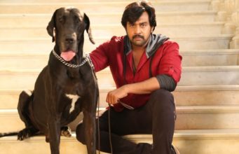 ಚಿರಂಜೀವಿ ಸರ್ಜಾ ‘ರಾಜ ಮಾರ್ತಾಂಡ’ ಟ್ರೈಲರ್ | ರಾಮ್ನಾರಾಯಣ್ ಸಿನಿಮಾ ಅ.6ಕ್ಕೆ ತೆರೆಗೆ