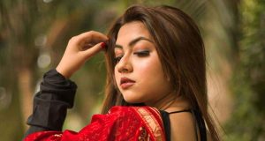 Raisinghani vs Raisinghani Series on Sony LIV