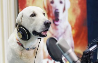 ‘ನಾನು ಮತ್ತು ಗುಂಡ 2’ | ಡಬ್ಬಿಂಗ್ ಮಾಡಿದ ಸಿಂಬಾ! 'ನಾನು ಮತ್ತು ಗುಂಡ 2' | ಡಬ್ಬಿಂಗ್ ಮಾಡಿದ ಸಿಂಬಾ! - Kannadamojo360